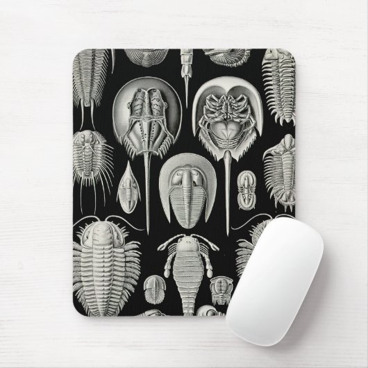 Ernst Haeckel Aspidonia Mousepad (Mit Mouse)