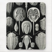 Ernst Haeckel Aspidonia Mousepad (Vorne)