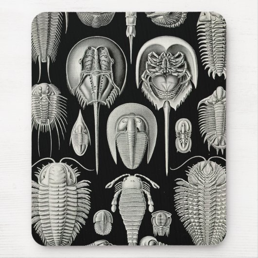 Ernst Haeckel Aspidonia Mousepad (Vorne)