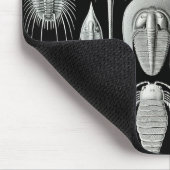 Ernst Haeckel - Aspidonia Mousepad (Ecke)