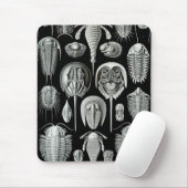 Ernst Haeckel - Aspidonia Mousepad (Mit Mouse)
