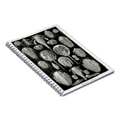 Ernst Haeckel Aspidonia Notizblock (Rechte Seite)