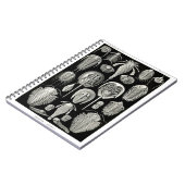 Ernst Haeckel Aspidonia Notizblock (Linke Seite)