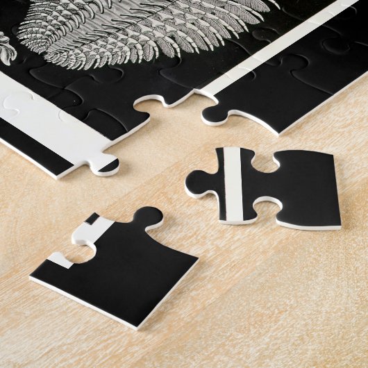 Ernst Haeckel Aspidonia Puzzle (Seite)