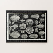 Ernst Haeckel Aspidonia Puzzle (Horizontal)