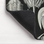 Ernst Haeckel - Aspidonia Sonderkommando Mousepad (Ecke)