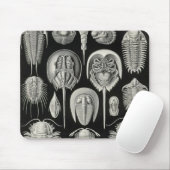 Ernst Haeckel - Aspidonia Sonderkommando Mousepad (Mit Mouse)