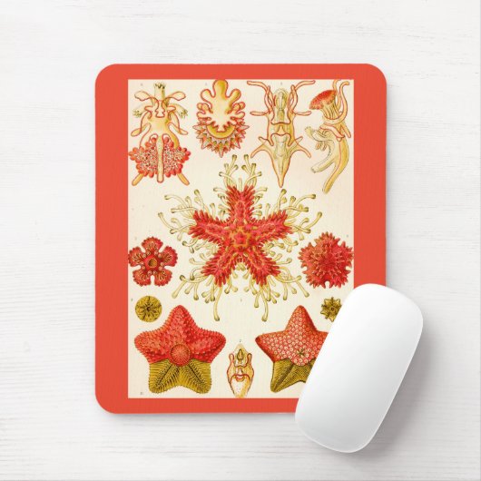 Ernst Haeckel Asteridea Mousepad (Mit Mouse)