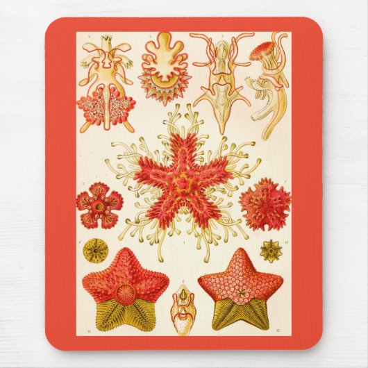Ernst Haeckel Asteridea Mousepad (Vorne)