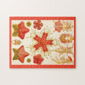 Ernst Haeckel Asteridea Puzzle (Horizontal)