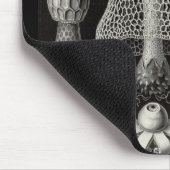 Ernst Haeckel - Basimycetes Pilze Mousepad (Ecke)