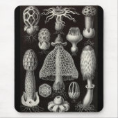 Ernst Haeckel - Basimycetes Pilze Mousepad (Vorne)