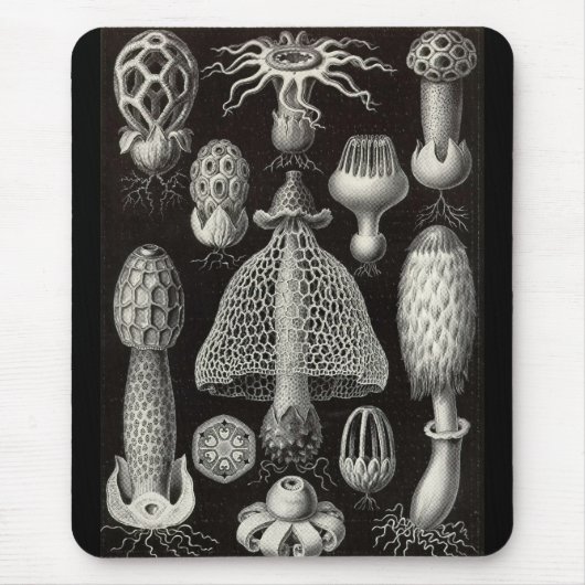 Ernst Haeckel - Basimycetes Pilze Mousepad (Vorne)