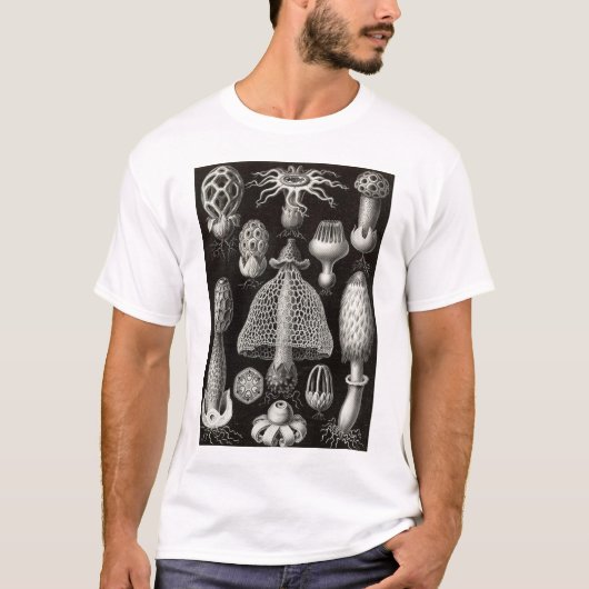 Ernst Haeckel - Basimycetes Pilze T-Shirt (Vorderseite)