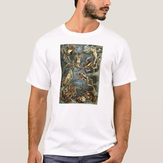 Ernst Haeckel - Batrachia T-Shirt (Vorderseite)