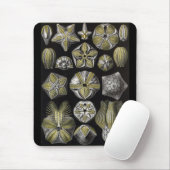 Ernst Haeckel - Blastoidea Mousepad (Mit Mouse)