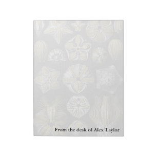 Ernst Haeckel Blastoidea Notizblock