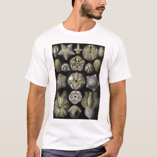 Ernst Haeckel - Blastoidea T-Shirt