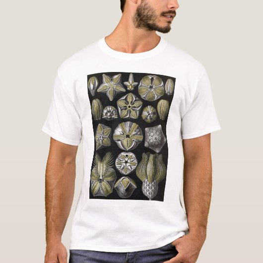 Ernst Haeckel - Blastoidea T-Shirt (Vorderseite)