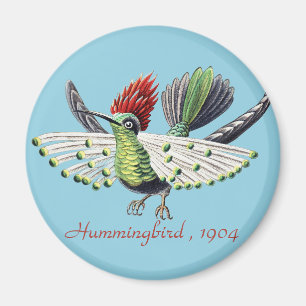 Ernst Haeckel Bunte Kolibris Natur Kunst Magnet