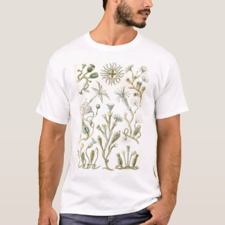 Ernst Haeckel - Campanariae T-Shirt