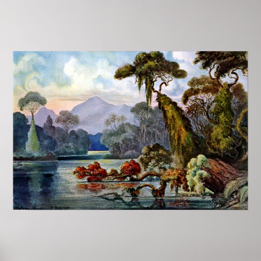 Ernst Haeckel Ceylon Jungle River Poster (Vorne)