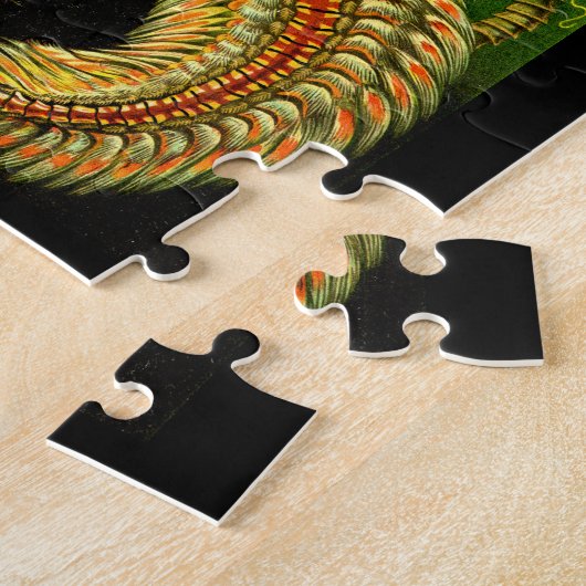 Ernst Haeckel Chaetopoda Puzzle (Seite)