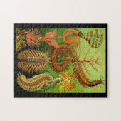 Ernst Haeckel Chaetopoda Puzzle (Horizontal)