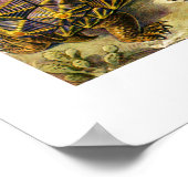 Ernst Haeckel Chelonia Poster (Ecke)