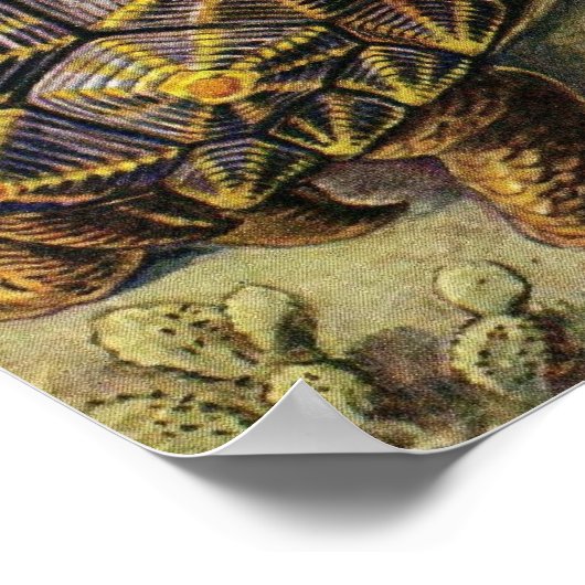 Ernst Haeckel - Chelonia Poster (Ecke)