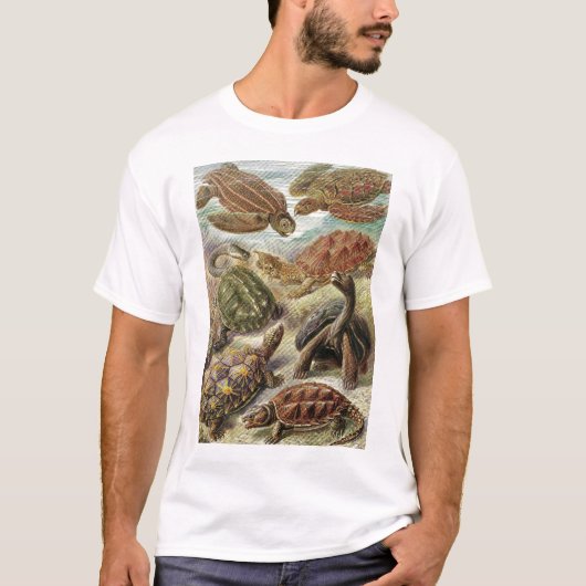Ernst Haeckel - Chelonia T-Shirt (Vorderseite)