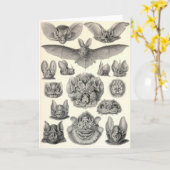 Ernst Haeckel - Chiroptera-Schläger Karte (Gelbe Blume)