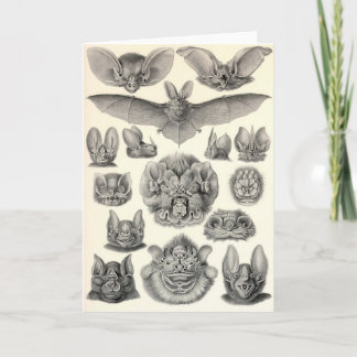 Ernst Haeckel - Chiroptera-Schläger Karte