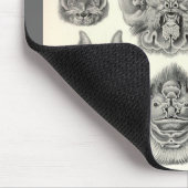 Ernst Haeckel - Chiroptera-Schläger Mousepad (Ecke)