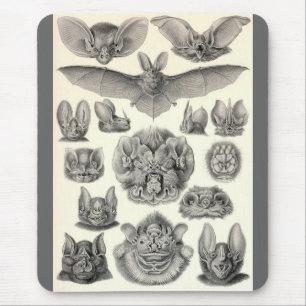 Ernst Haeckel - Chiroptera-Schläger Mousepad