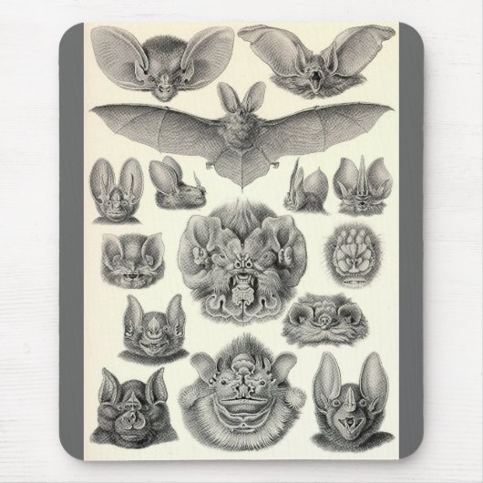 Ernst Haeckel - Chiroptera-Schläger Mousepad (Vorne)