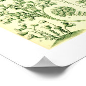 Ernst Haeckel Ciliata Poster (Ecke)