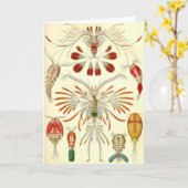 Ernst Haeckel - Copepoda Karte (Gelbe Blume)