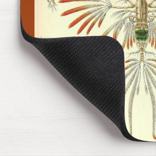 Ernst Haeckel - Copepoda Mousepad (Ecke)