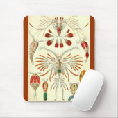 Ernst Haeckel - Copepoda Mousepad (Mit Mouse)