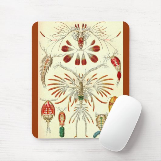 Ernst Haeckel - Copepoda Mousepad (Mit Mouse)