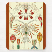 Ernst Haeckel - Copepoda Mousepad (Vorne)