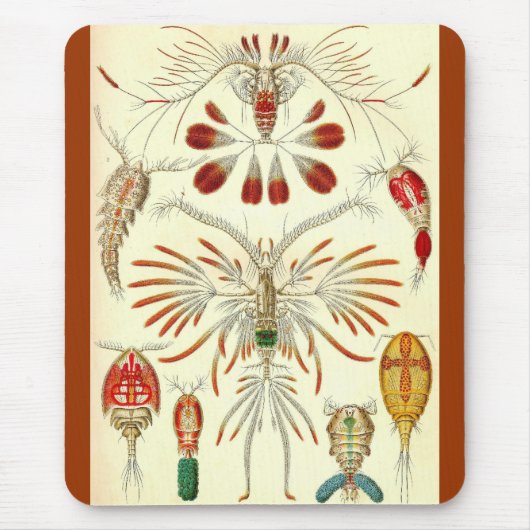 Ernst Haeckel - Copepoda Mousepad (Vorne)
