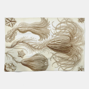 Ernst Haeckel Crinoidea Federsterne Handtuch