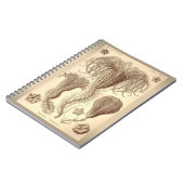 Ernst Haeckel- Crinoids Notizblock (Linke Seite)