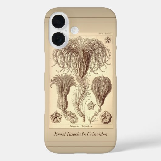 Ernst Haeckel Crinoids - Vollständige Seite Case-Mate iPhone Hülle (Rückseite)