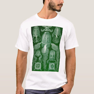 Ernst Haeckel - Cubomedusae Jellyfish T-Shirt