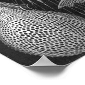 Ernst Haeckel Cyrtoidea Poster (Ecke)