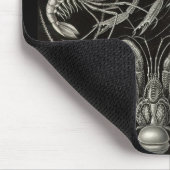 Ernst Haeckel - Decapoda Mousepad (Ecke)