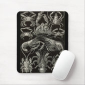 Ernst Haeckel - Decapoda Mousepad (Mit Mouse)